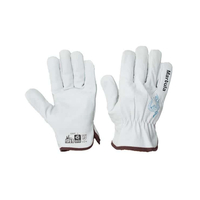 Martula Riggers Gloves 12x Pack